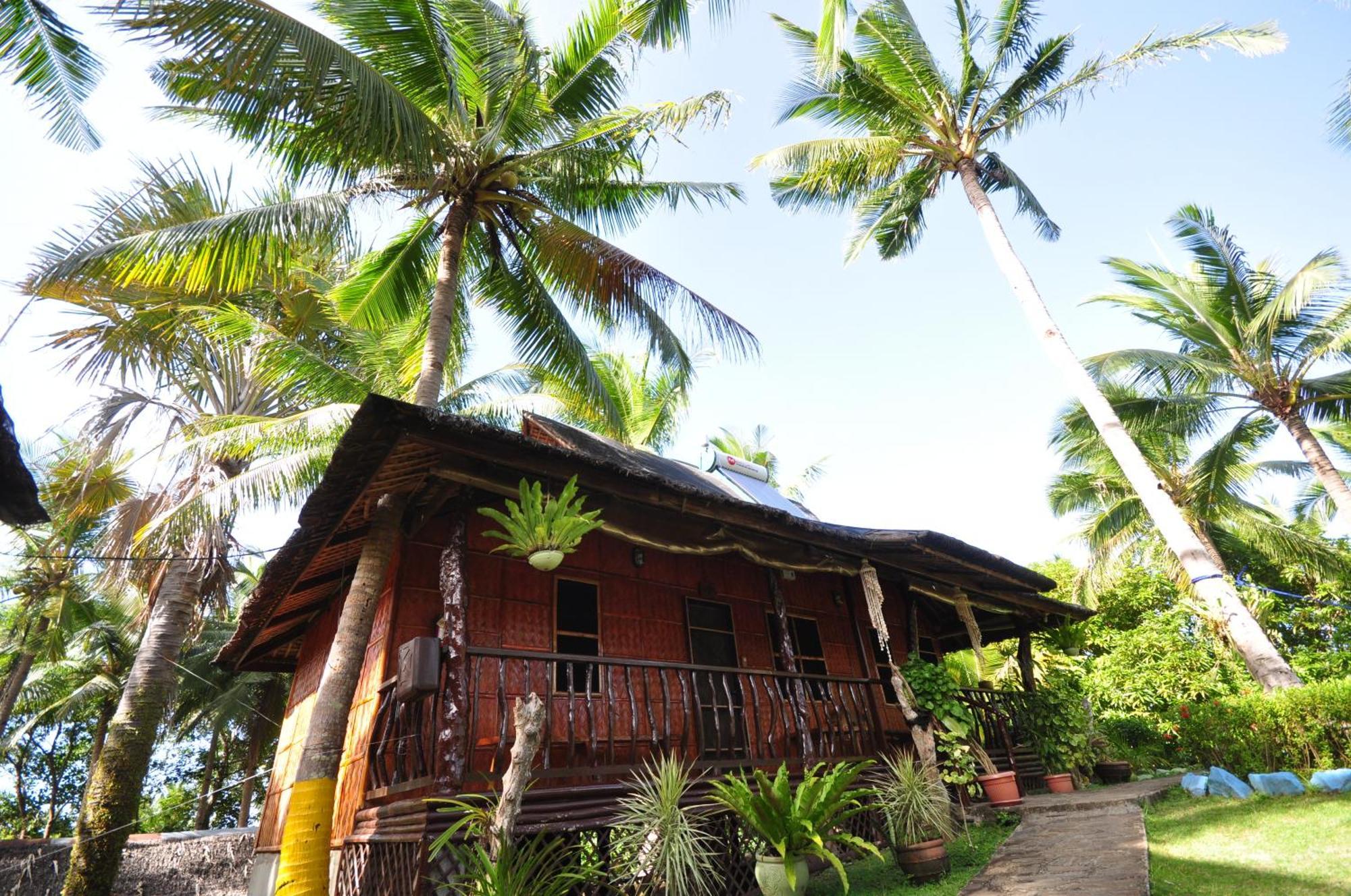 Villa De Pico Highland Beach Resort Puerto Galera Eksteriør billede